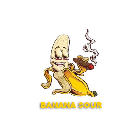 BANANA SOUR CBD 20%