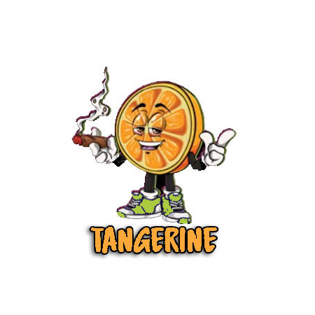 TANGERINE cbd 20%