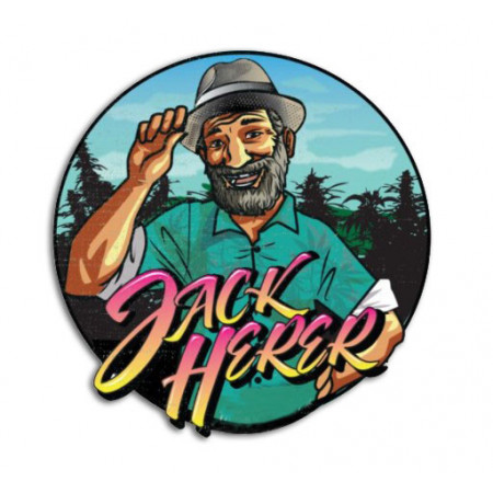 Jack herer fleurs de cbd à partir de 2,5€
