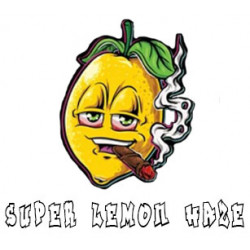 tropical haze cbd à partir de 5€