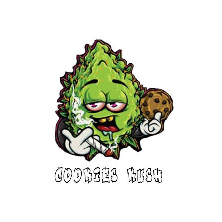 Cookies kush CBD