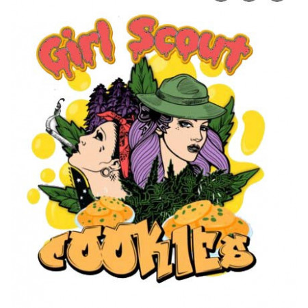 Girl scout cookies CBD