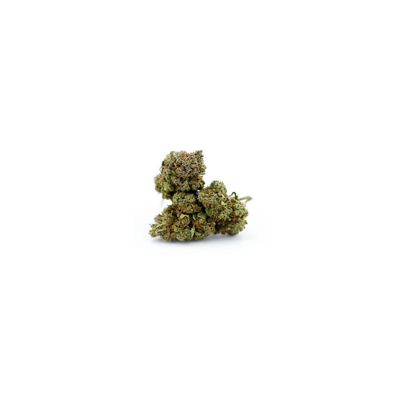 Og kush cbd à partir de 5€