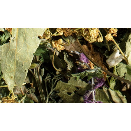 immunitaire mélange d'herbes pour système immunitaire