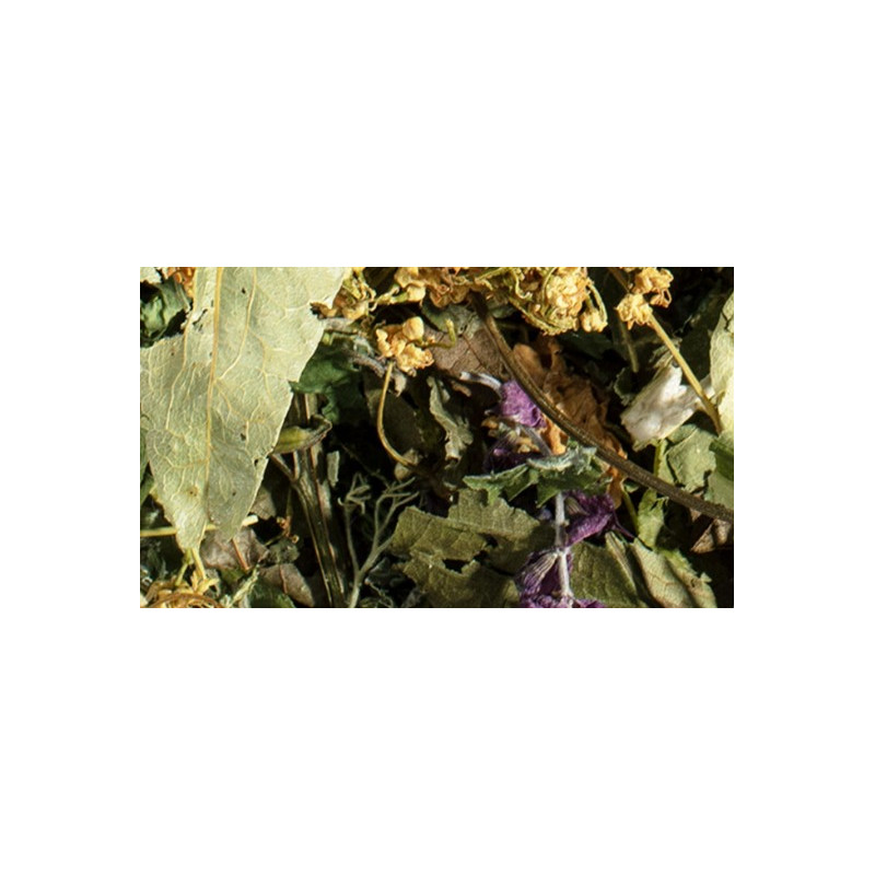 immunitaire mélange d'herbes pour système immunitaire