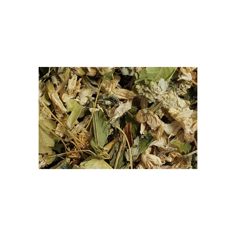 cardiaque mélange d'herbes pour la fonction cardiaque