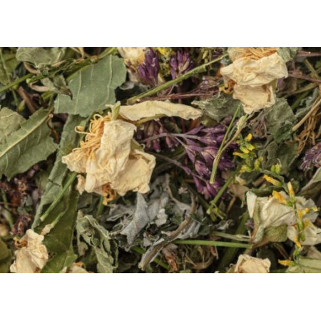 thérapeutique mélange de plantes thérapeutique