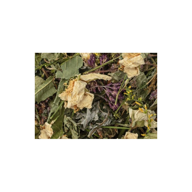 thérapeutique mélange de plantes thérapeutique
