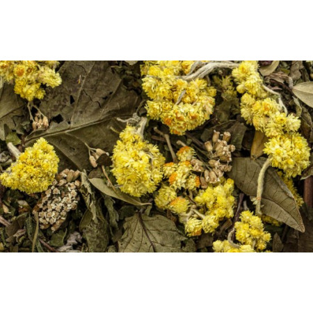 reins mélange d'herbes pour les reins 50g