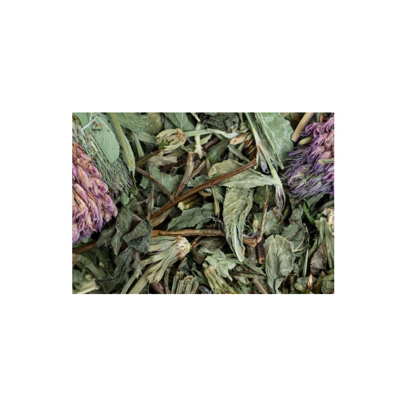 mélange d'herbes amincissantes