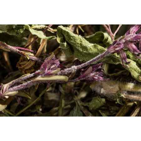 mélange d'herbes aux propriétés rajeunissantes 50g