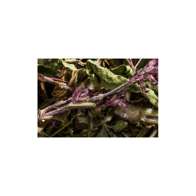 mélange d'herbes aux propriétés rajeunissantes 50g