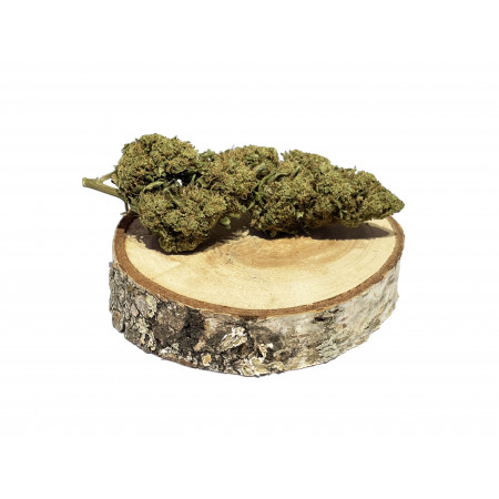 VIRGIN cbd à partir de 5€