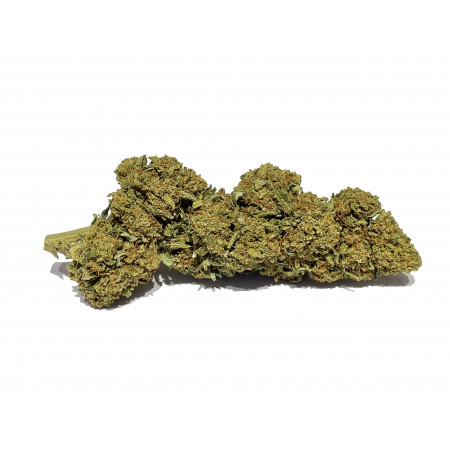 hulk cbd une des meilleures variétés