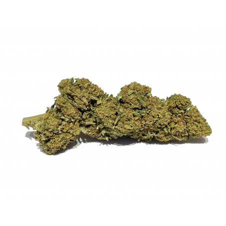 hulk cbd une des meilleures variétés