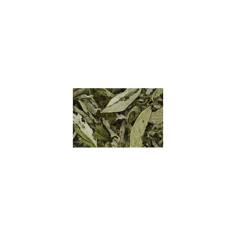 Feuilles de menthe 50g