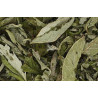 Feuilles de menthe 50g