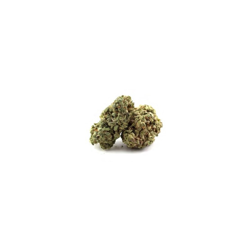 Amnésia fleur de cbd