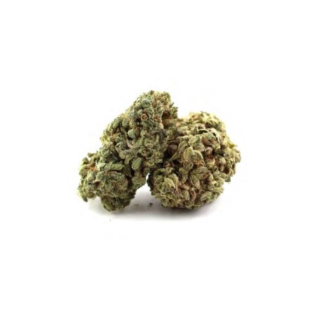 Amnésia fleur de cbd