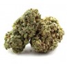 Amnésia fleur de cbd