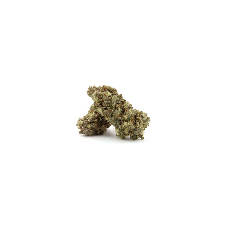 White widow cbd 12%