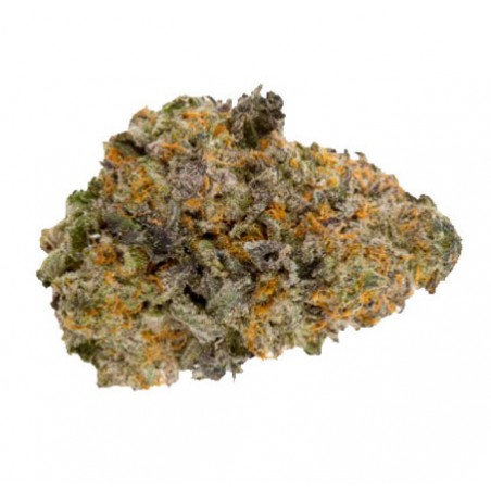 fleurd de cbd gelato