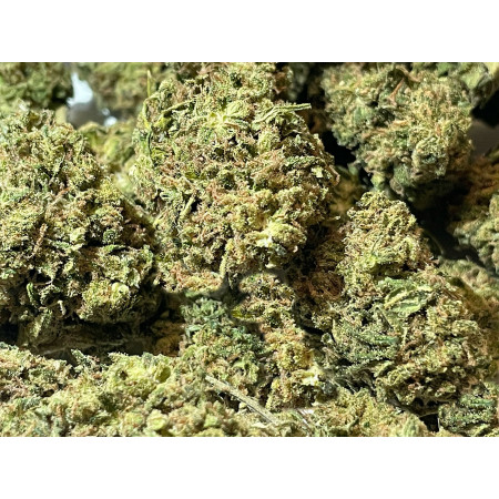 TROPICAL PUNCH cbd à partir de 5€