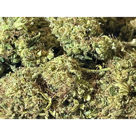 super lemon haze cbd