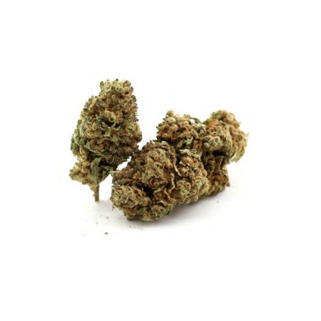 new york diesel cbd