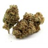 new york diesel cbd
