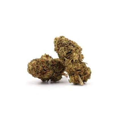 Orange bud cbd 10%