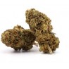 Orange bud cbd 10%