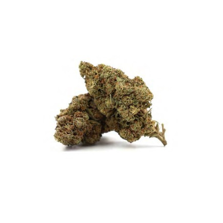 Skunk lemon cbd à partir de 4€